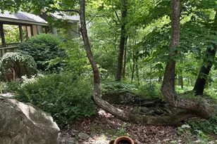82 Warrior Run, Roseland, VA 22967 - Photo 26