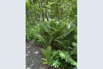 82 Warrior Run, Roseland, VA 22967 - Photo 28