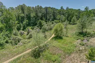 401 Lochlyn Hill Dr, Charlottesville, VA 22901 - Photo 4
