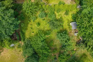 2417 Angus Rd, Charlottesville, VA 22901 - Photo 64