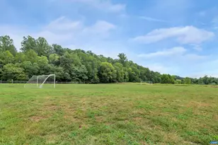 970 Charter Oaks Dr, Charlottesville, VA 22901 - Photo 46