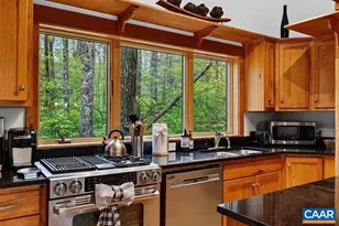 455 Deer Springs Ln, Wintergreen, VA 22967 - Photo 14