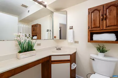 137 Green Turtle Ln, Charlottesville, VA 22901 - Photo 14