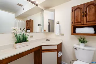 137 Green Turtle Ln, Charlottesville, VA 22901 - Photo 14