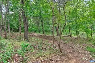 6285 Jarmans Gap Rd, Crozet, VA 22932 - Photo 50