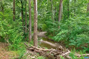 6285 Jarmans Gap Rd, Crozet, VA 22932 - Photo 48