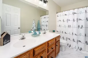 1641 Brightfield Pl, Charlottesville, VA 22901 - Photo 50