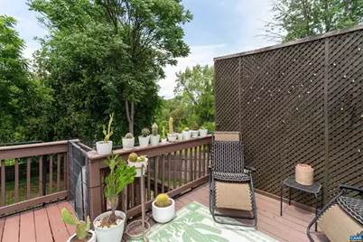 803 Ridge St, Charlottesville, VA 22902 - Photo 22