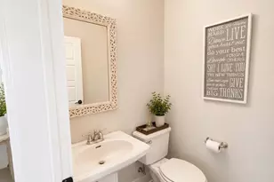 313 Agatha Ridge Ct, Crozet, VA 22932 - Photo 22