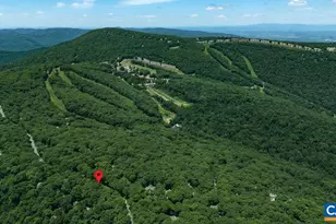 24 Pedlars Point, Wintergreen, VA 22967 - Photo 46