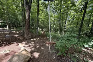 1707 Laurel Springs Dr, Wintergreen Resort, VA 22967 - Photo 40