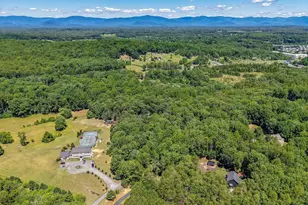 3002 Burnley Station Rd, Barboursville, VA 22923 - Photo 58