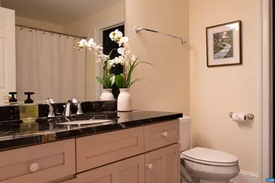 3161 Prestwick Pl, Keswick, VA 22947 - Photo 50