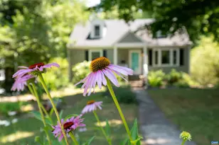 1614 Rose Hill Dr, Charlottesville, VA 22903 - Photo 4