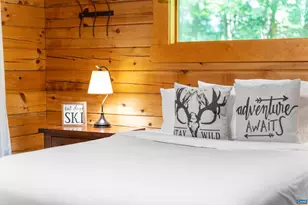 11 Ravens Roost Ct, Wintergreen Resort, VA 22967 - Photo 44
