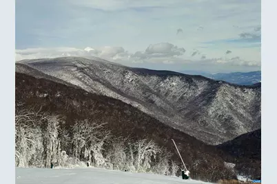 11 Ravens Roost Ct, Wintergreen Resort, VA 22967 - Photo 70