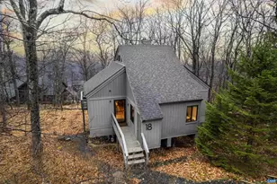 18 Squirrel Tree Ln, Wintergreen Resort, VA 22967 - Photo 32