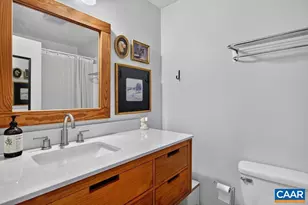 18 Squirrel Tree Ln, Wintergreen Resort, VA 22967 - Photo 18