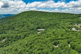 740 Laurelwood Condos, Wintergreen, VA 22967 - Photo 62