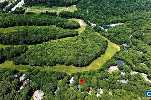 93 Squirrel Tree Ln, Wintergreen Resort, VA 22967 - Photo 2