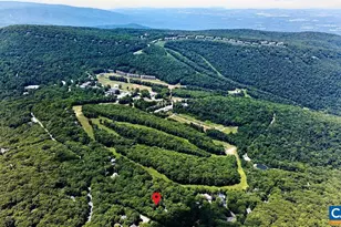 93 Squirrel Tree Ln, Wintergreen Resort, VA 22967 - Photo 40
