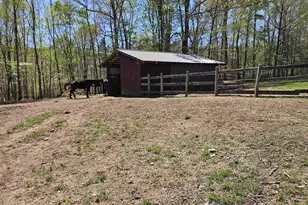 3814 S Constitution Route, Dillwyn, VA 23936 - Photo 14