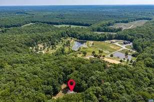 363 Bridgeport Rd, Scottsville, VA 24590 - Photo 34