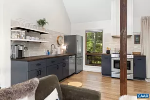 93 Valley View Ln, Wintergreen Resort, VA 22967 - Photo 20