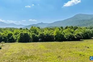 450 Phillips Ln, Nellysford, VA 22958 - Photo 8