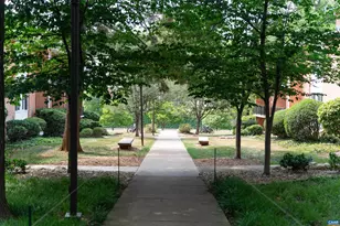 1800 Jefferson Park Ave, Charlottesville, VA 22903 - Photo 18