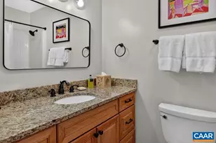 48 Deerberry Ln, Wintergreen Resort, VA 22967 - Photo 22