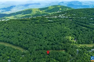 48 Deerberry Ln, Wintergreen Resort, VA 22967 - Photo 42