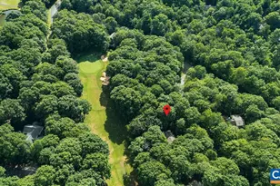 48 Deerberry Ln, Wintergreen Resort, VA 22967 - Photo 44