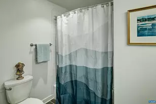 3298 Rowcross St, Crozet, VA 22932 - Photo 40
