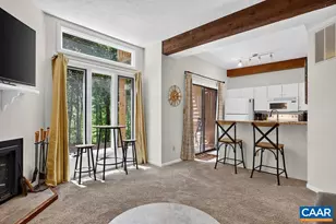 730 Laurelwood Condos, Wintergreen Resort, VA 22967 - Photo 10