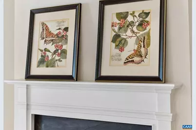 1824 Barefoot Ct, Charlottesville, VA 22901 - Photo 10