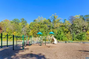 1915 Beechcrest Ct, Charlottesville, VA 22903 - Photo 38