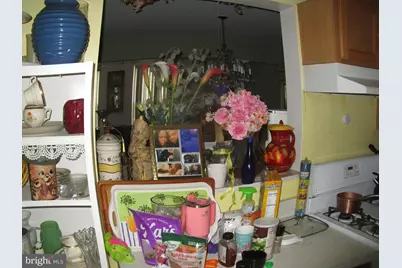 811 George Street, Baltimore, MD 21201 - Photo 8