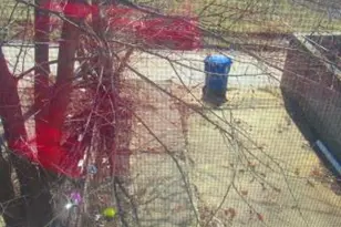 3155 Ravenwood Ave, Baltimore, MD 21213 - Photo 24