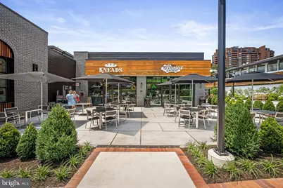 111 Hamlet Hill Road #610, Baltimore, MD 21210 - Photo 34