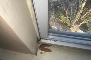 [Address not provided], Baltimore, MD 21225 - Photo 46