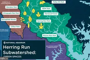 3414 Harford Rd, Baltimore, MD 21218 - Photo 32