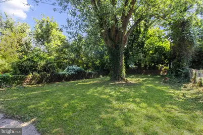 505 McCabe Avenue, Baltimore, MD 21212 - Photo 40