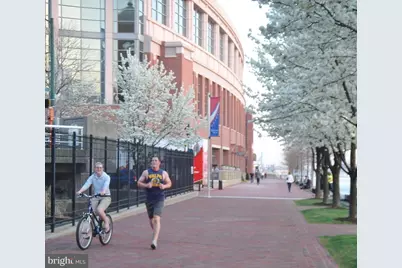 250 President Street #609, Baltimore, MD 21202 - Photo 24