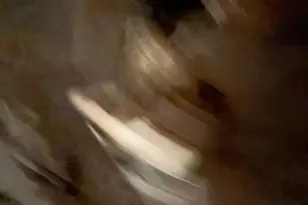 [Address not provided], Baltimore, MD 21225 - Photo 12