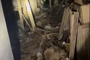 729 N Fremont Ave, Baltimore, MD 21217 - Photo 2