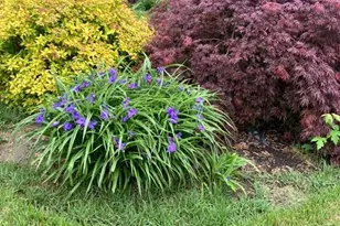 3210 Chesley Ave, Baltimore, MD 21234 - Photo 10