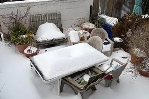 612 S Ellwood Ave, Baltimore, MD 21224 - Photo 8