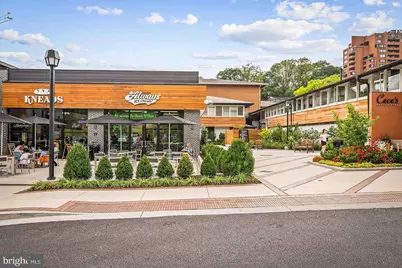 42 Bouton Green Court, Baltimore, MD 21210 - Photo 26