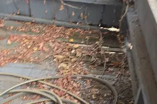 1719 N Payson St, Baltimore, MD 21217 - Photo 44